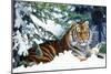 Siberian Amur Tiger Lying in Snow-null-Mounted Photographic Print