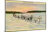 Siberian Dog Team, Alaska-null-Mounted Art Print