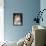 Siberian Husky Portrait, USA-Lynn M. Stone-Framed Stretched Canvas displayed on a wall