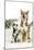 Siberian Husky Puppy Looking Up at Siberian-null-Mounted Photographic Print