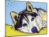 Siberian Husky-Dean Russo-Mounted Giclee Print