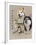 Siberian Husky-Barbara Keith-Framed Giclee Print