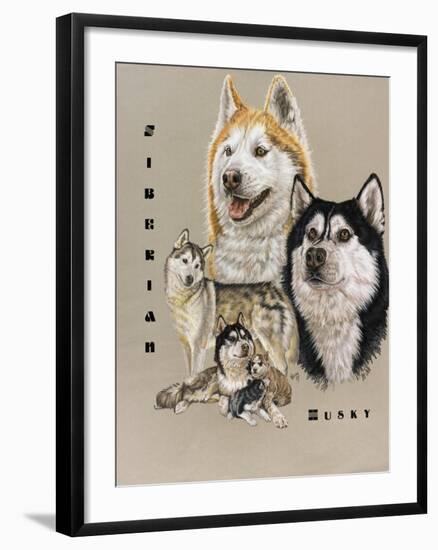 Siberian Husky-Barbara Keith-Framed Giclee Print