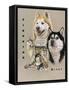 Siberian Husky-Barbara Keith-Framed Stretched Canvas