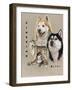 Siberian Husky-Barbara Keith-Framed Giclee Print