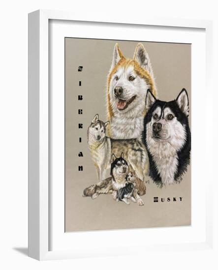 Siberian Husky-Barbara Keith-Framed Giclee Print