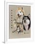 Siberian Husky-Barbara Keith-Framed Giclee Print