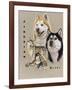 Siberian Husky-Barbara Keith-Framed Giclee Print