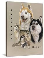 Siberian Husky-Barbara Keith-Stretched Canvas