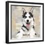 Siberian Husky-Keri Rodgers-Framed Art Print