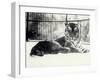 Siberian or Amur Tiger ''Moloch'' on Snow at London Zoo-Frederick William Bond-Framed Photographic Print