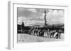 Siberian Sled Dogs Taking a rest in Alaska Photograph - Alaska-Lantern Press-Framed Art Print