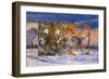 Siberian Sunset-Graeme Stevenson-Framed Giclee Print