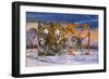 Siberian Sunset-Graeme Stevenson-Framed Giclee Print