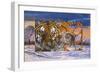 Siberian Sunset-Graeme Stevenson-Framed Giclee Print