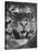 Siberian Tiger Covered in Storage at the American Museum of Natural History-Margaret Bourke-White-Stretched Canvas