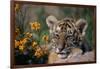 Siberian Tiger Cub-W. Perry Conway-Framed Photographic Print