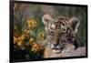 Siberian Tiger Cub-W. Perry Conway-Framed Photographic Print