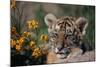 Siberian Tiger Cub-W. Perry Conway-Mounted Photographic Print