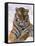 Siberian Tiger in Snow, Panthera Tigris Altaica-Lynn M^ Stone-Framed Stretched Canvas