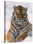 Siberian Tiger in Snow, Panthera Tigris Altaica-Lynn M^ Stone-Stretched Canvas