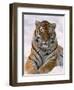 Siberian Tiger in Snow, Panthera Tigris Altaica-Lynn M^ Stone-Framed Premium Photographic Print