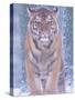 Siberian Tiger in Snow Storm-Edwin Giesbers-Stretched Canvas