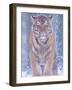 Siberian Tiger in Snow Storm-Edwin Giesbers-Framed Photographic Print