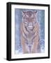 Siberian Tiger in Snow Storm-Edwin Giesbers-Framed Photographic Print