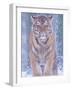 Siberian Tiger in Snow Storm-Edwin Giesbers-Framed Photographic Print