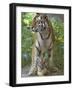 Siberian Tiger Mother with Young Cub Resting Between Her Legs-Edwin Giesbers-Framed Photographic Print