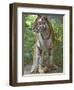 Siberian Tiger Mother with Young Cub Resting Between Her Legs-Edwin Giesbers-Framed Photographic Print