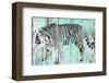 Siberian Tiger-null-Framed Art Print