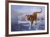 Siberian Tiger-Leonard Pearman-Framed Giclee Print