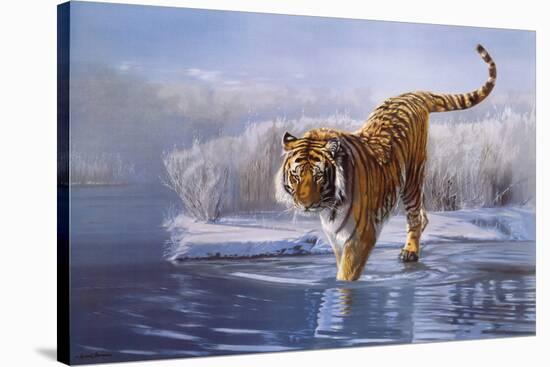 Siberian Tiger-Leonard Pearman-Stretched Canvas