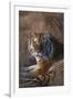 Siberian Tiger-DLILLC-Framed Premium Photographic Print