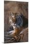 Siberian Tiger-DLILLC-Mounted Premium Photographic Print