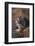 Siberian Tiger-DLILLC-Framed Photographic Print