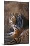 Siberian Tiger-DLILLC-Mounted Photographic Print