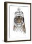 Siberian Tiger-Balazs Solti-Framed Photographic Print