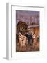 Siberian Tigers Showing Affection-DLILLC-Framed Photographic Print