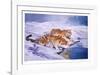 Siberian Tigers-Sydney Taylor-Framed Limited Edition