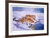 Siberian Tigers-Sydney Taylor-Framed Limited Edition