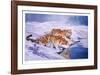 Siberian Tigers-Sydney Taylor-Framed Limited Edition