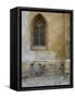 Sibiu, Transylvania, Romania-Russell Young-Framed Stretched Canvas