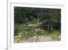 Sibley Park Gardens and Trails-jrferrermn-Framed Photographic Print