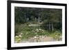 Sibley Park Gardens and Trails-jrferrermn-Framed Photographic Print