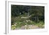 Sibley Park Gardens and Trails-jrferrermn-Framed Photographic Print