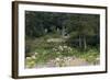 Sibley Park Gardens and Trails-jrferrermn-Framed Photographic Print