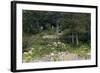 Sibley Park Gardens and Trails-jrferrermn-Framed Photographic Print